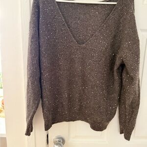 Zara Brown V-Neck back Sequin Knit Sweater